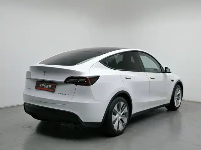 Tesla Model Y 2021 Standard Range Rear-Wheel Drive — фото 2