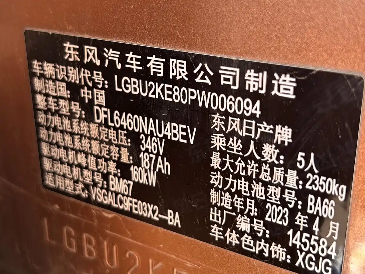 Nissan ARIYA 2024 2023 Model 500