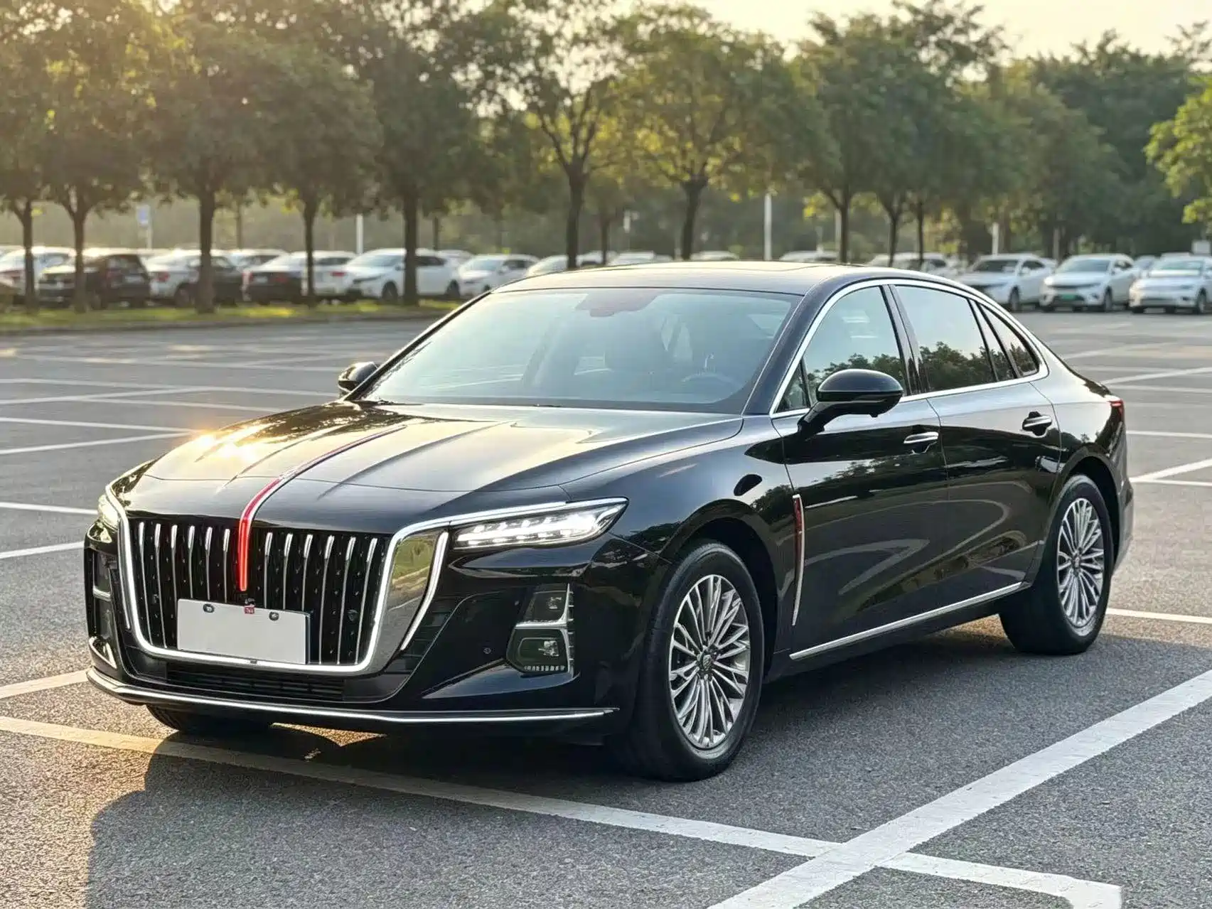 Фото 1 - Hongqi H5