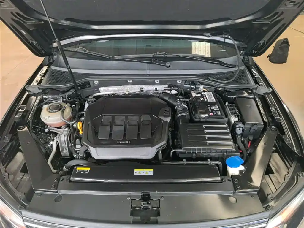 Volkswagen Magotan 2020 330TSI DSG Leading фото 20