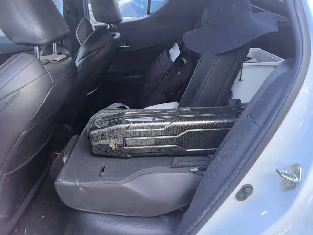 Toyota IZOA 2022 2021 2.0L Yixing Edition