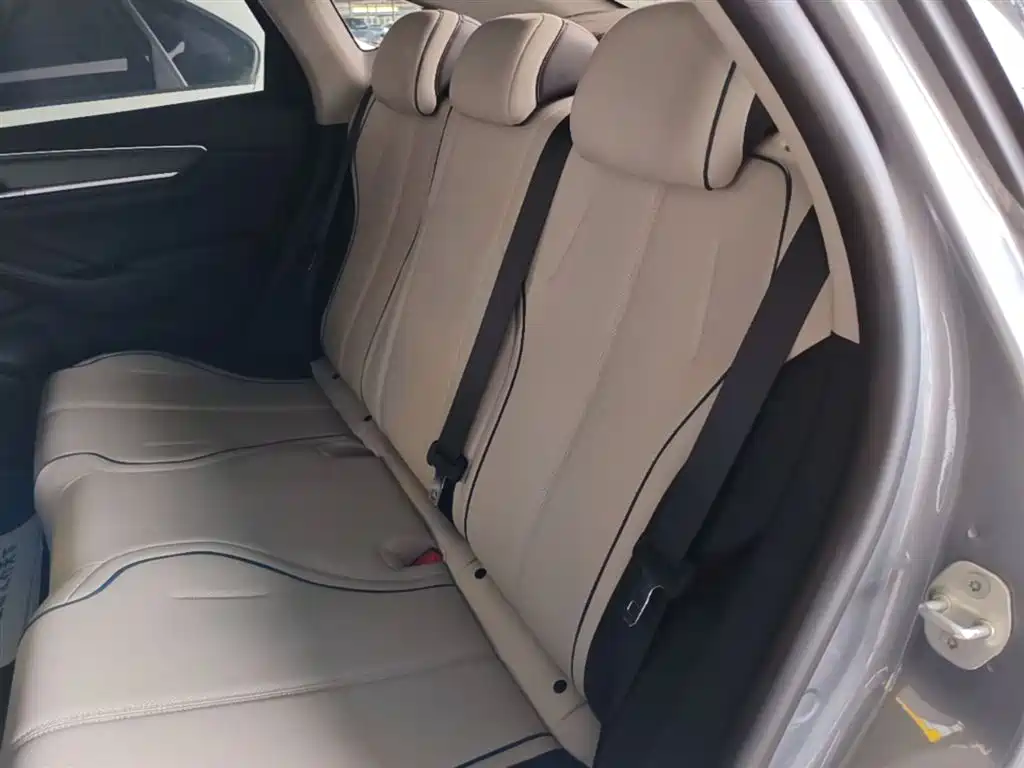 BYD Destroyer 05 2024 Glory Edition DM-i 55KM Luxury фото 17