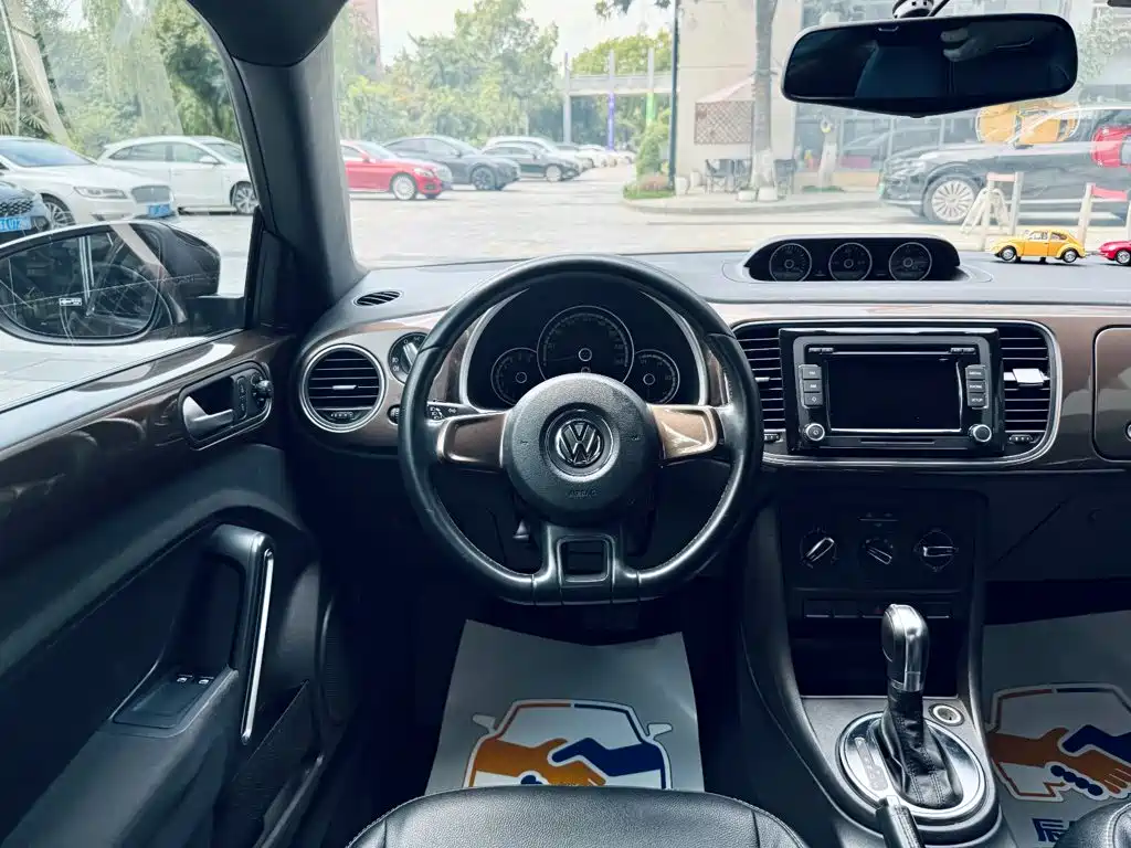 صورة 14 - Volkswagen Beetle