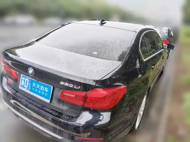 BMW 5 Series 2018 530Li Leading Luxury Package — фото 5
