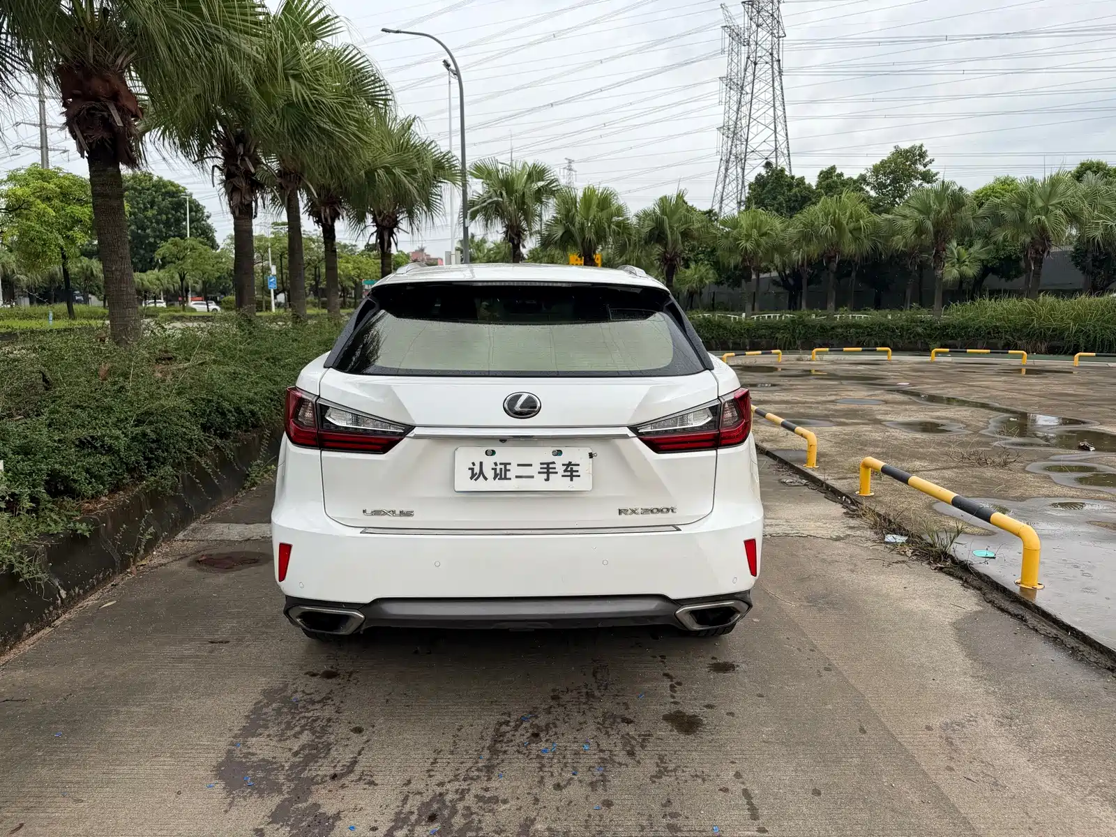 Фото 4 - Lexus RX