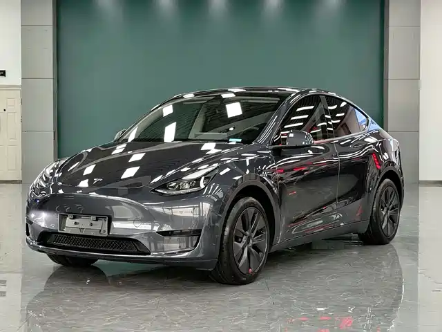 Tesla Model Y Задний привод