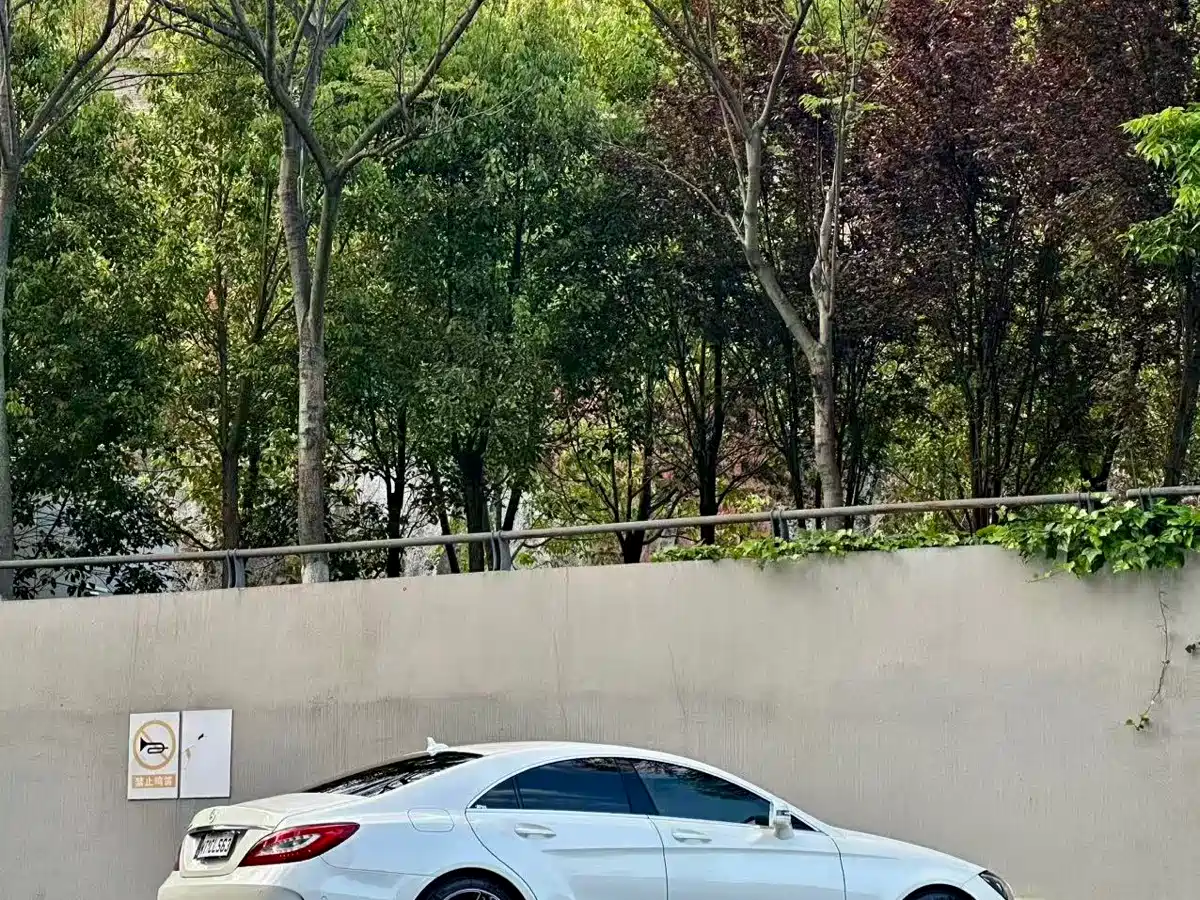 Mercedes-Benz CLS 2016 CLS 260 Edition фото 9