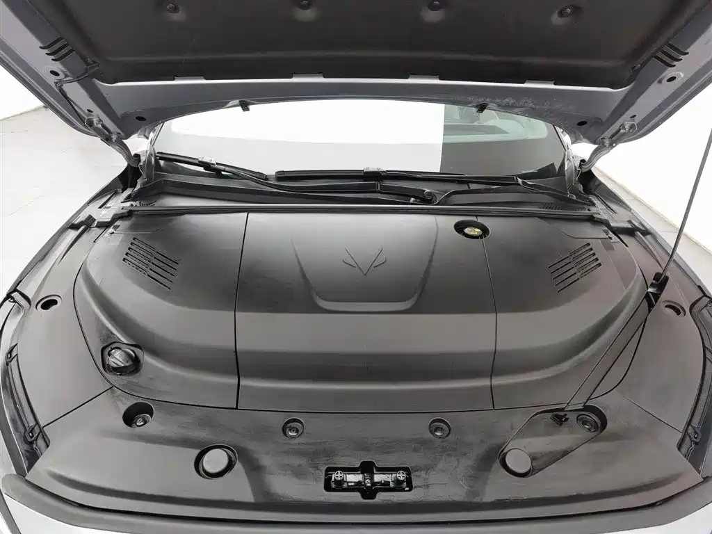 ARCFOX EXTREME FOX POLAR FOX ALPHA S5