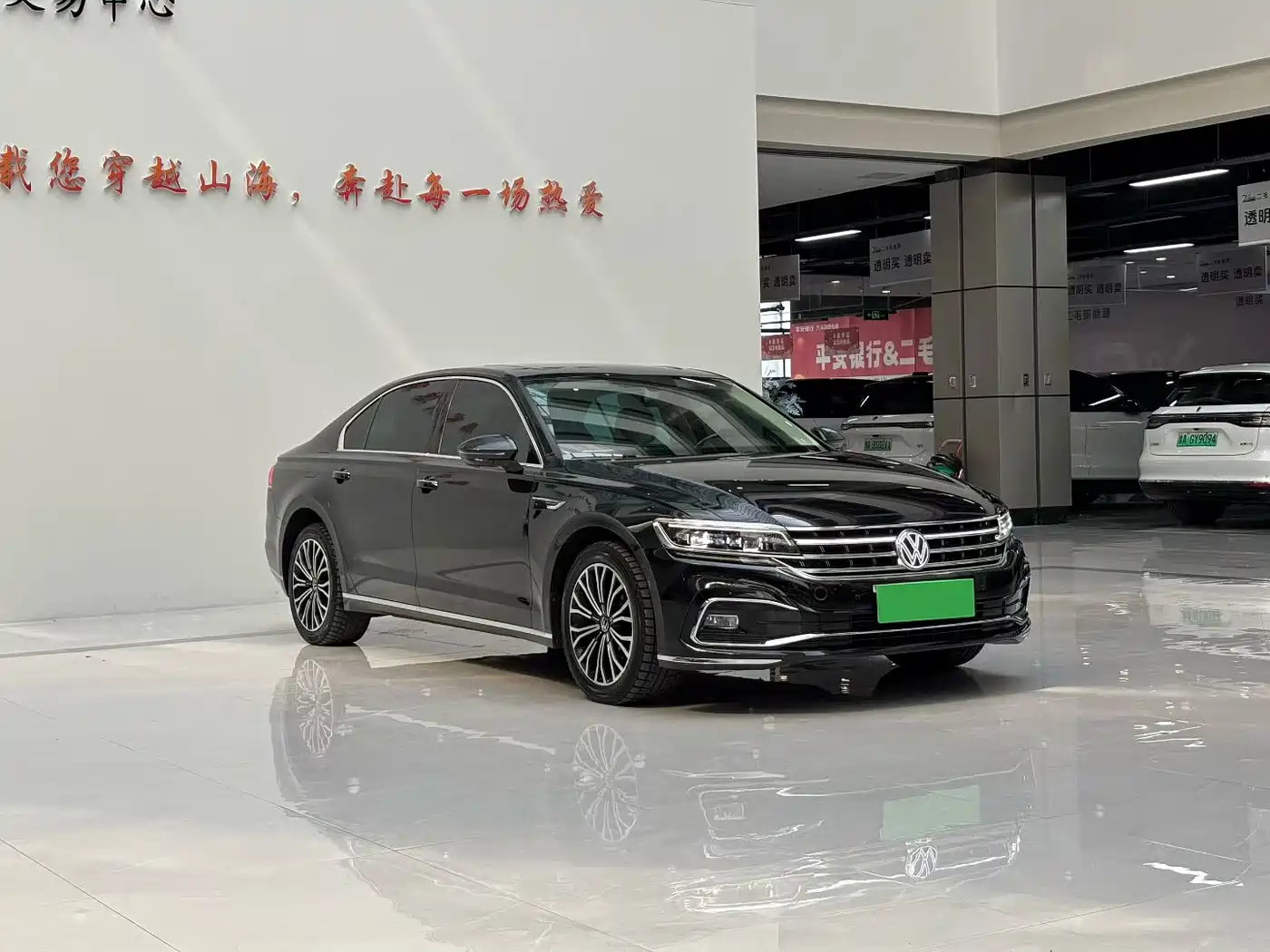 Volkswagen Phideon 2021 380TSI Luxury Edition фото 3