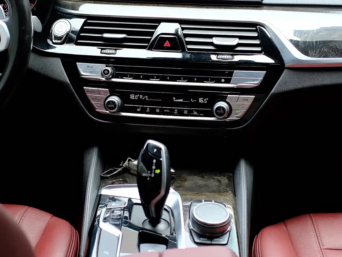 BMW 5 Series 2020 530Li Leading M Sport Package фото 6