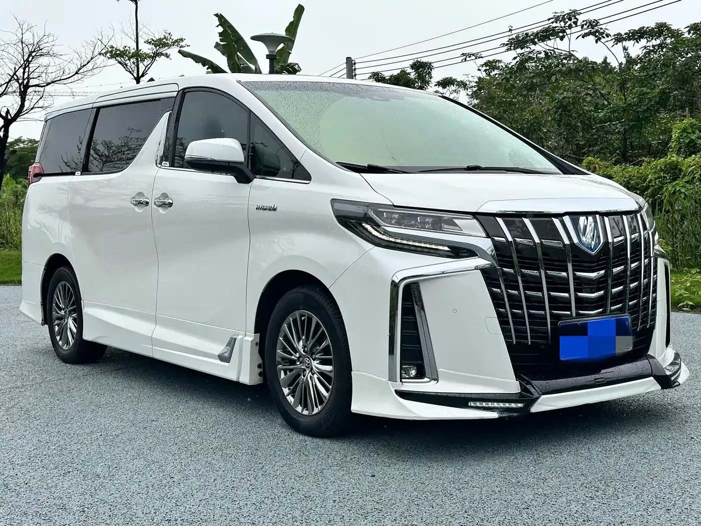 Toyota Alphard 2019 Hybrid 2.5L Luxury фото 3