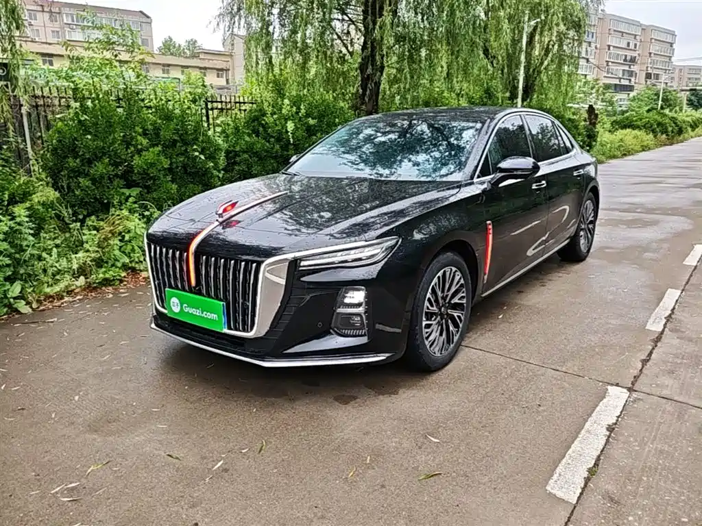 Hongqi H5 2024 2.0T Automatic Smart Connect Flag Smooth Edition