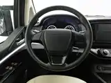 صورة 11 - Dongfeng Fengxing Lingzhi