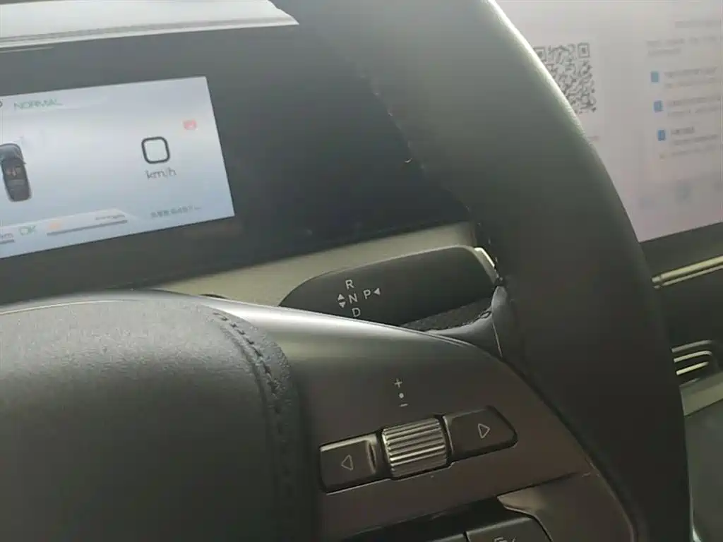 BYD SONGJIANG NEW ENERGY