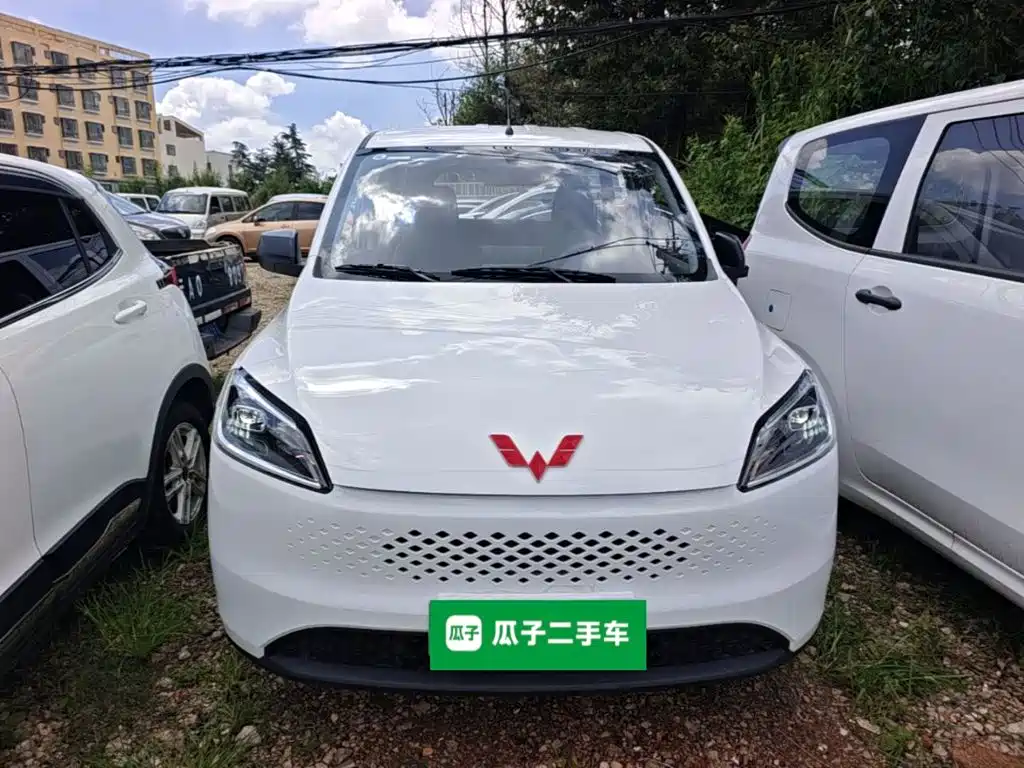 2026 Wuling Motors Wuling Hongguang New Energy