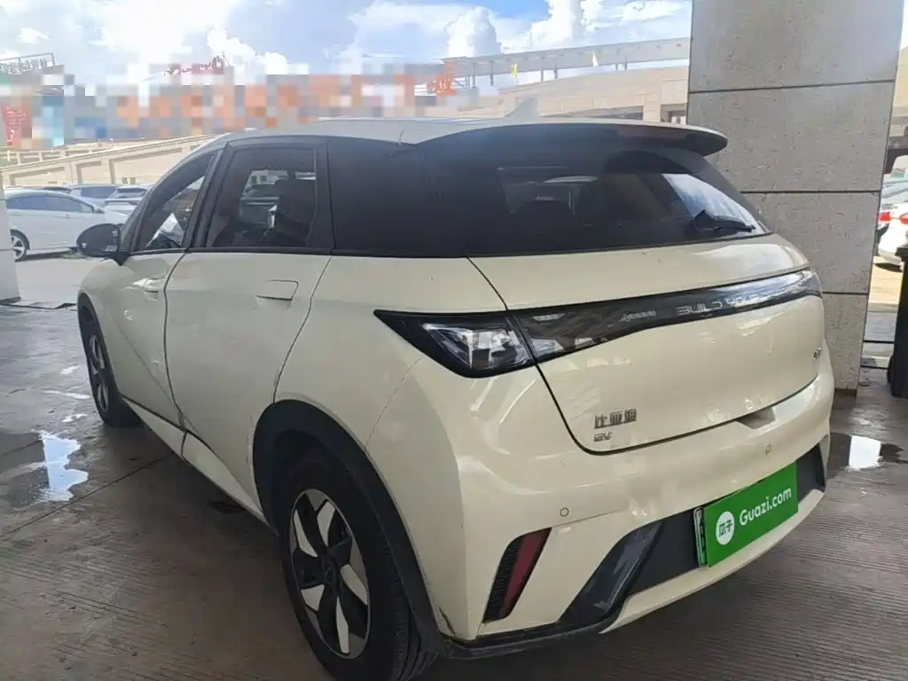 BYD Dolphin 2026 2025 420km Freedom Edition