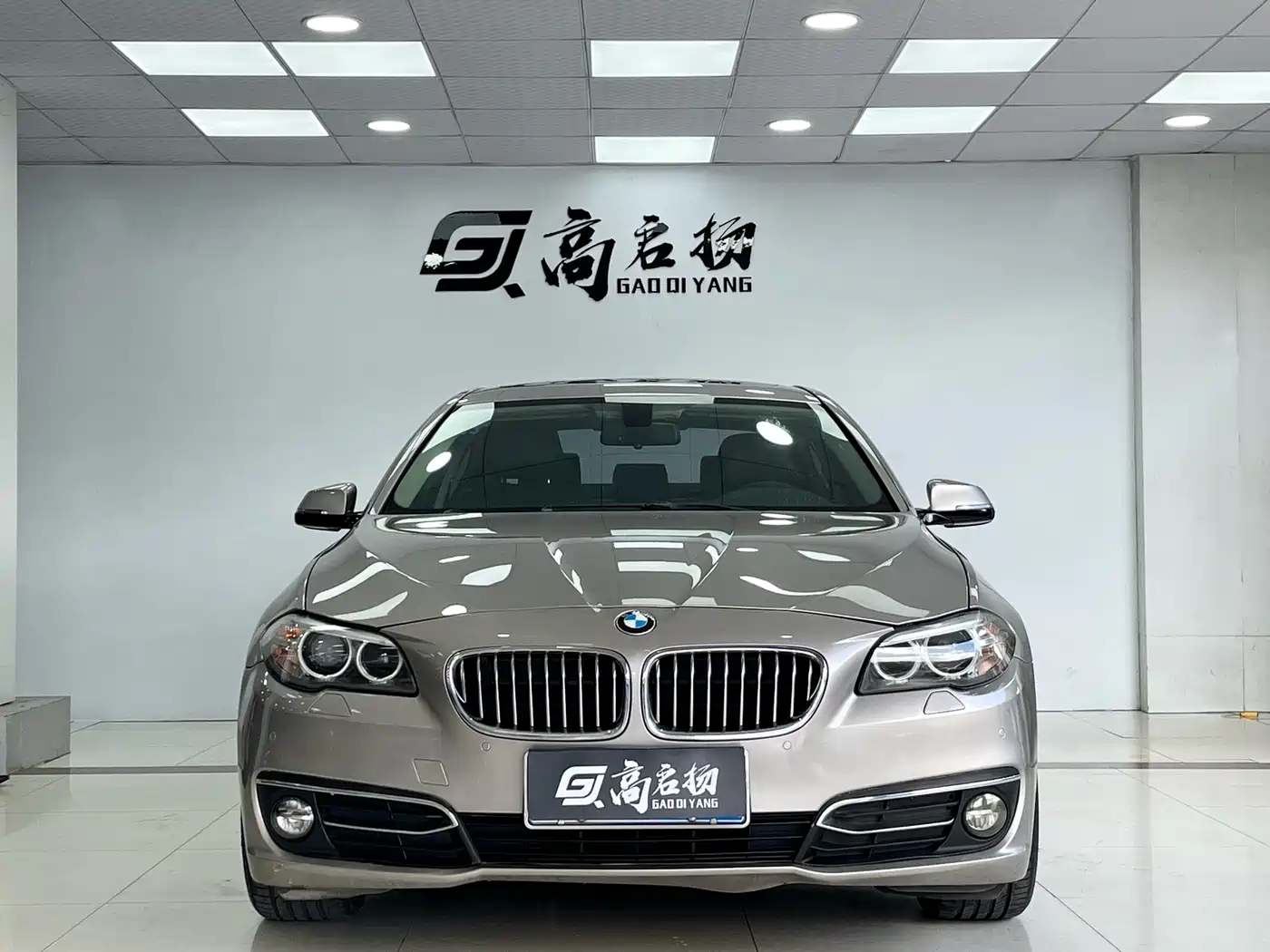 BMW 5 Series 2014 525Li Luxury Design Package фото 2