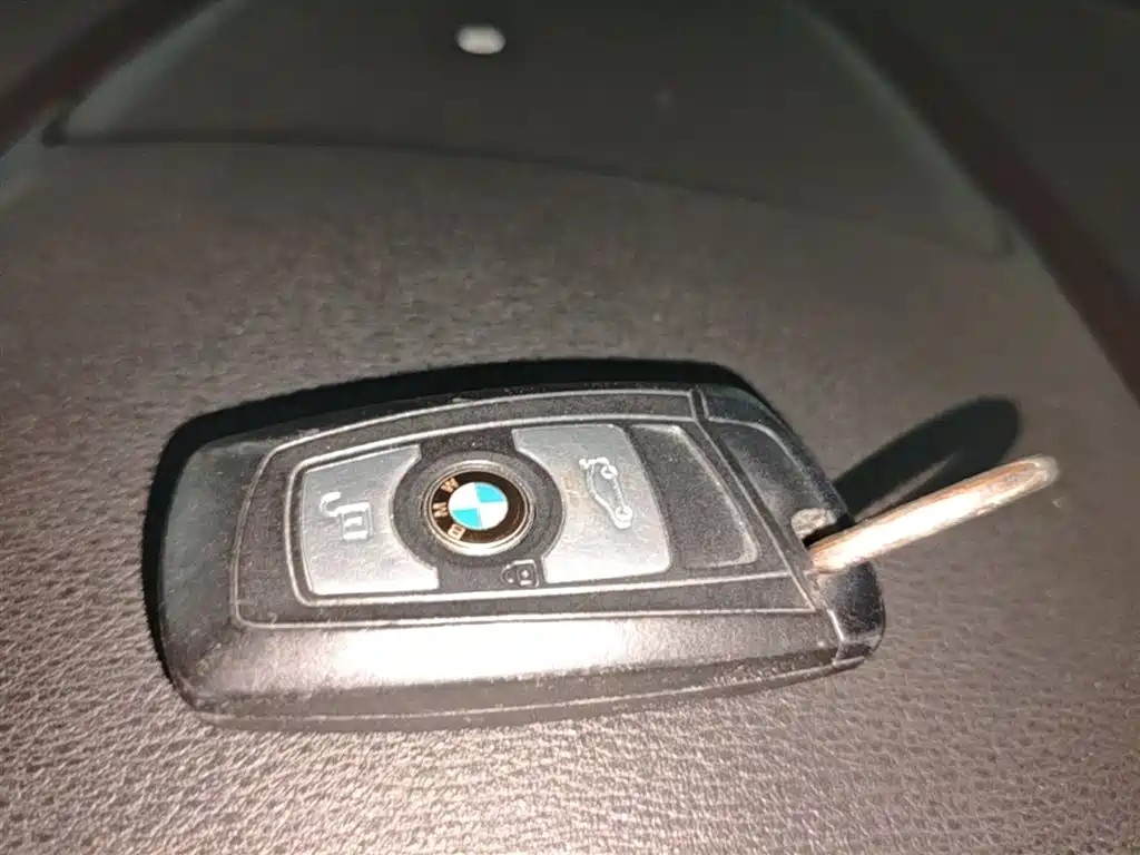 BMW X3 (Import) 2016 sDrive20i фото 9