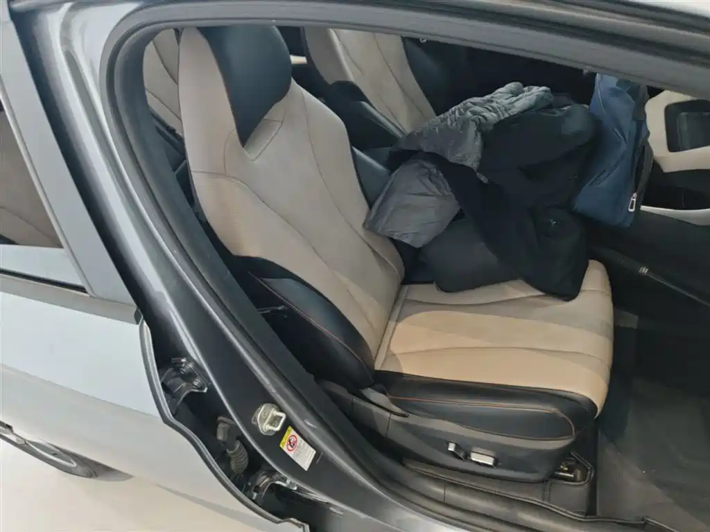 BYD Dolphin 2024 Glory Edition 420km Fashion Edition фото 25