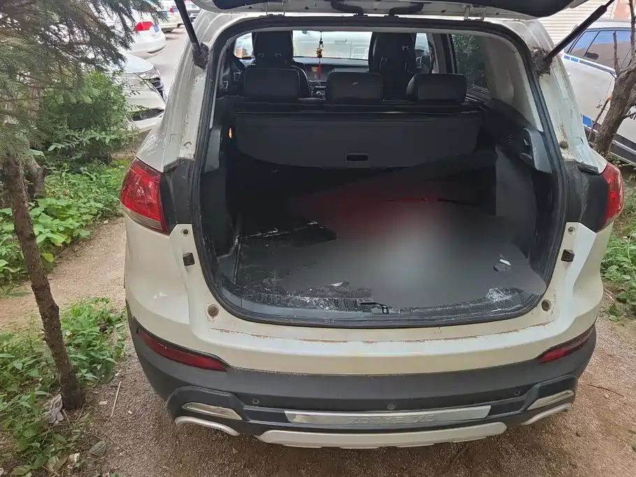 Zotye Damai X5 2016 2015 1.5T CVT Magistrate Type China IV