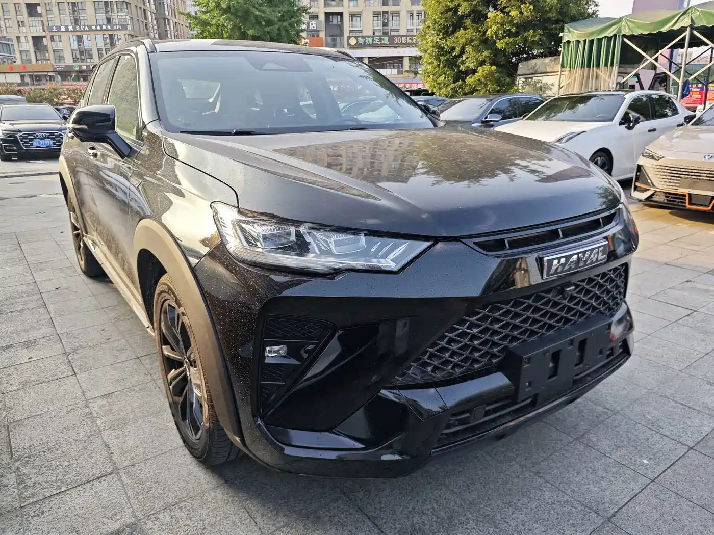 Haval H6S 2021 2022 Model 2.0T 2WD Smart Run Edition