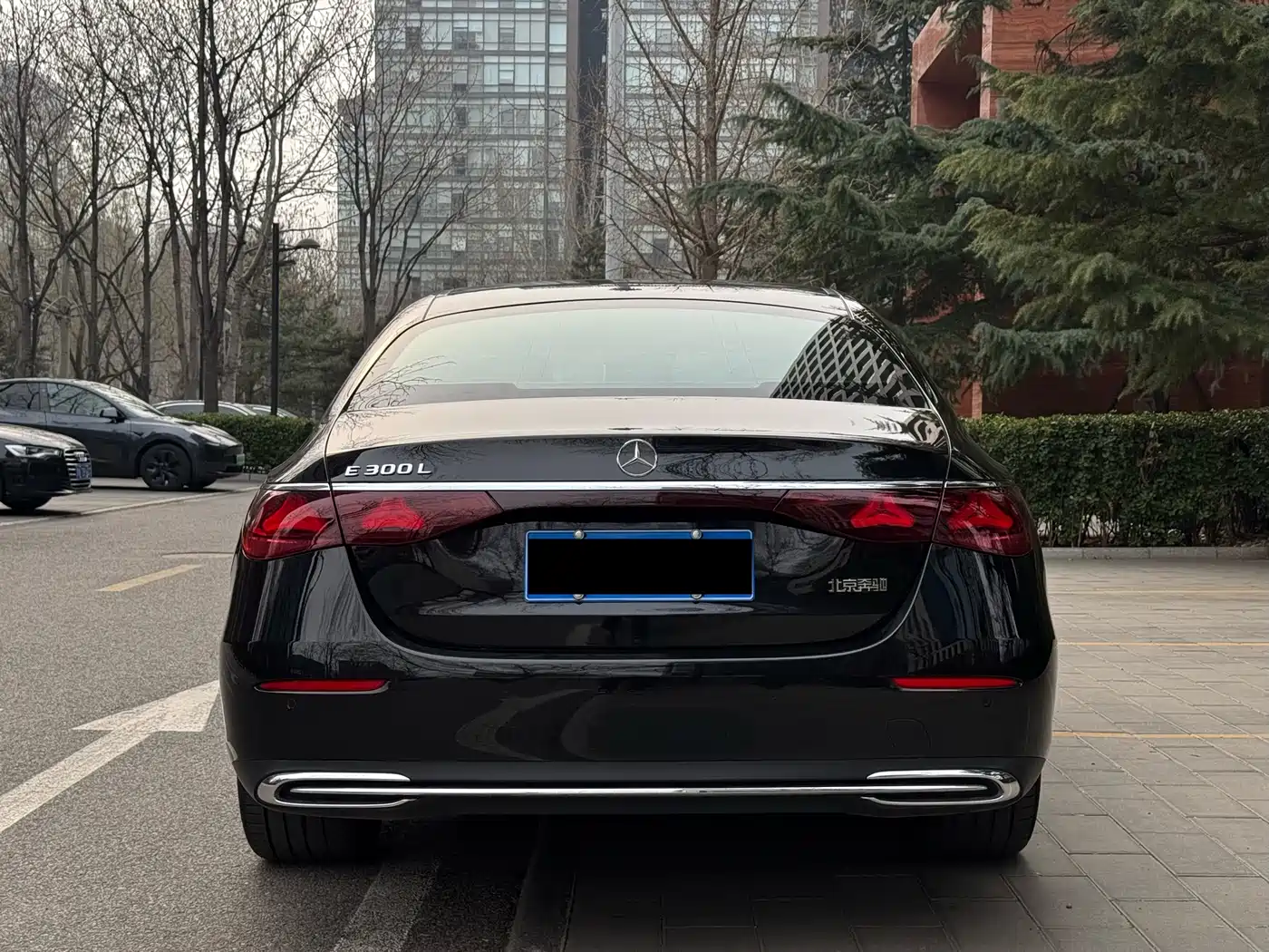 Mercedes-Benz E-Class 2024 Model E 300 L Luxury фото 6