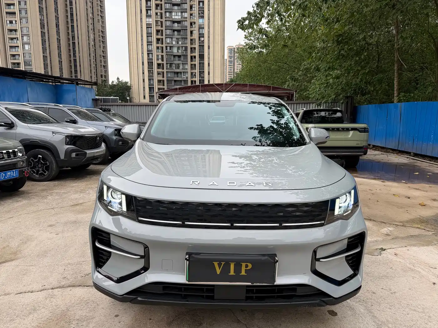 Geely Radar Radar King Kong 2025 2025 460km 4WD Long Cargo Power Guardian