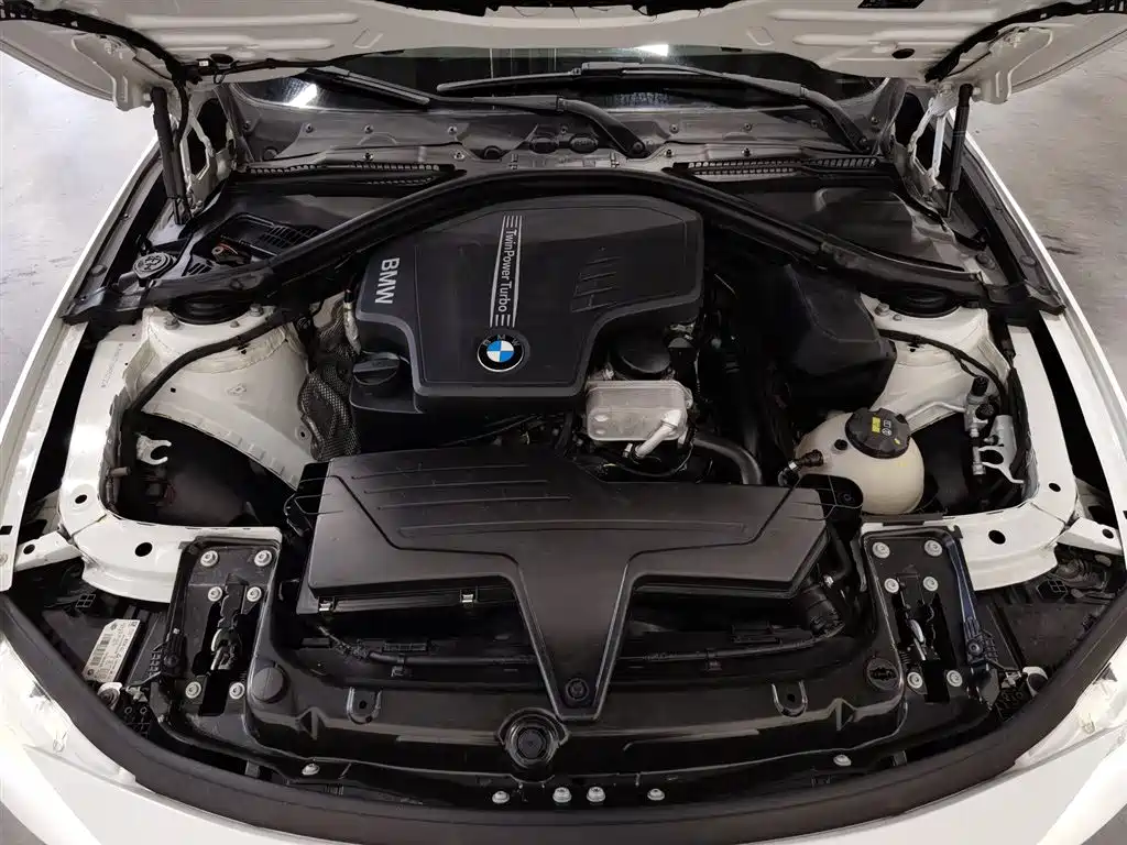 BMW 3 Series 2016 320Li Progressive фото 6