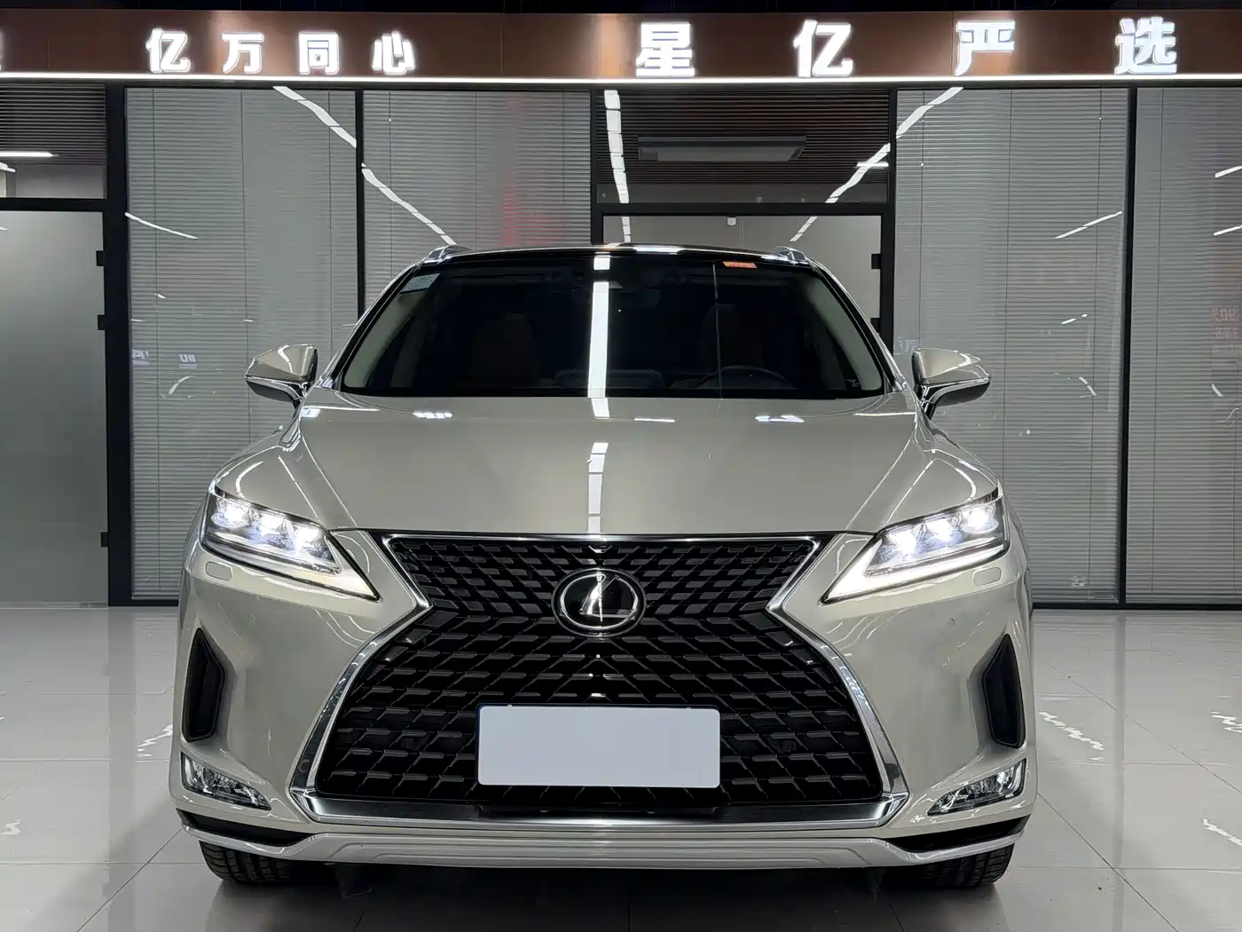LEXUS RX