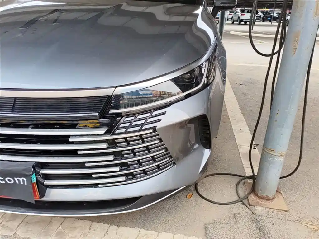 BYD Destroyer 05 2024 Glory Edition DM-i 55KM Luxury фото 24