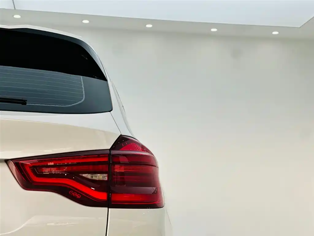 BMW X3 2018 xDrive25i M Sport Package China V фото 11