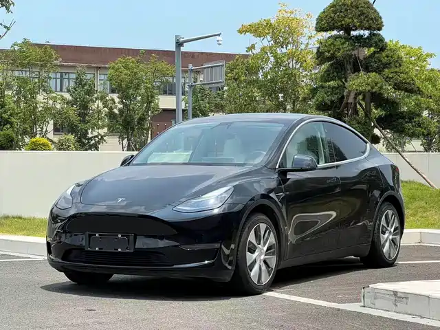 Tesla Model Y Стандартный запас хода, задний привод