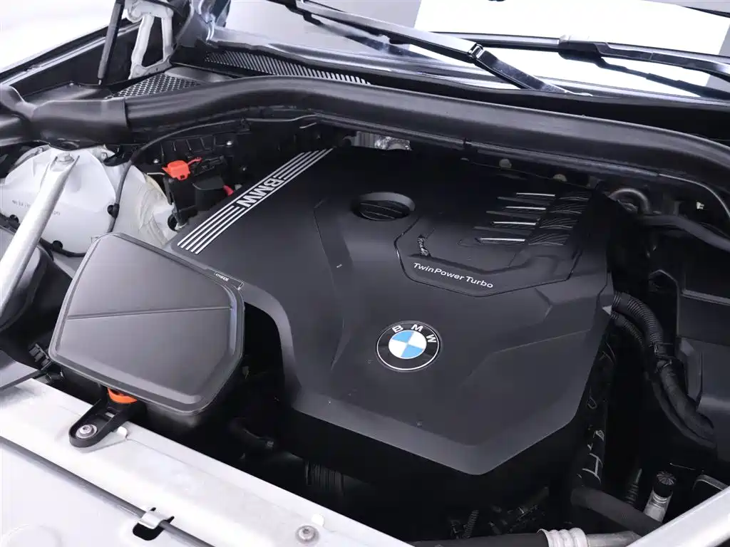 BMW X3 2022 xDrive30i Leading M Night Package фото 25