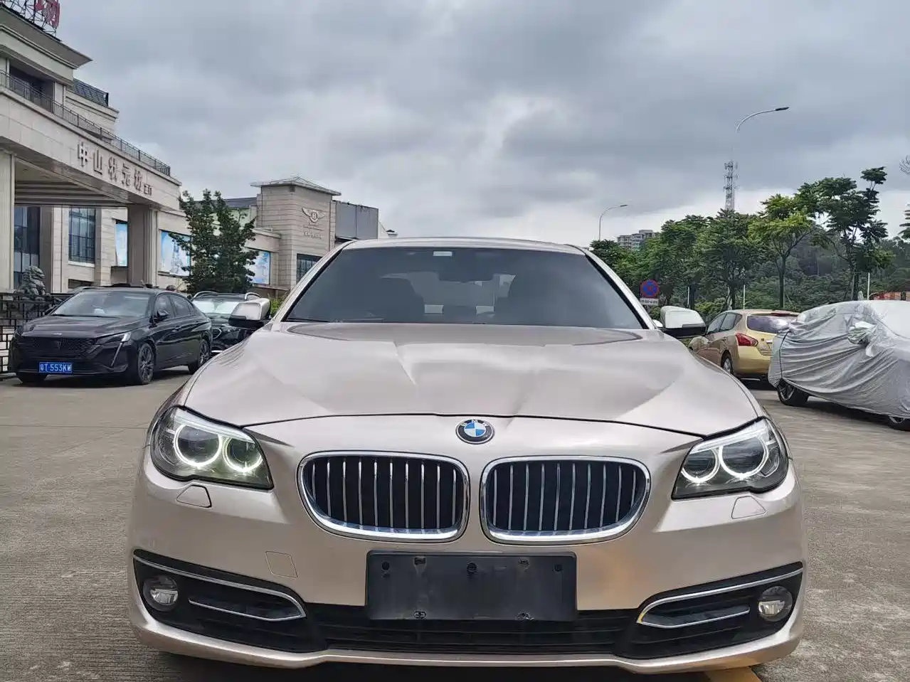 BMW 5 Series 2014 525Li Luxury Design Package фото 2