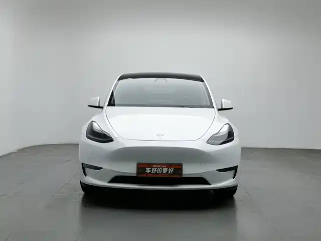 Tesla Model Y 2021 Standard Range Rear-Wheel Drive — фото 3