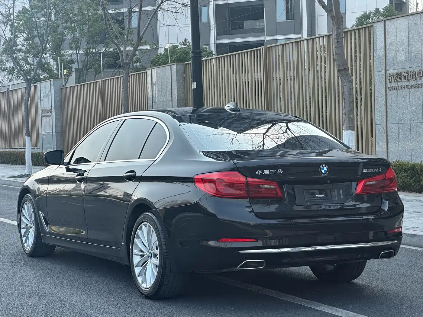 BMW 5 Series 2020 530Li Leading Luxury Package фото 4