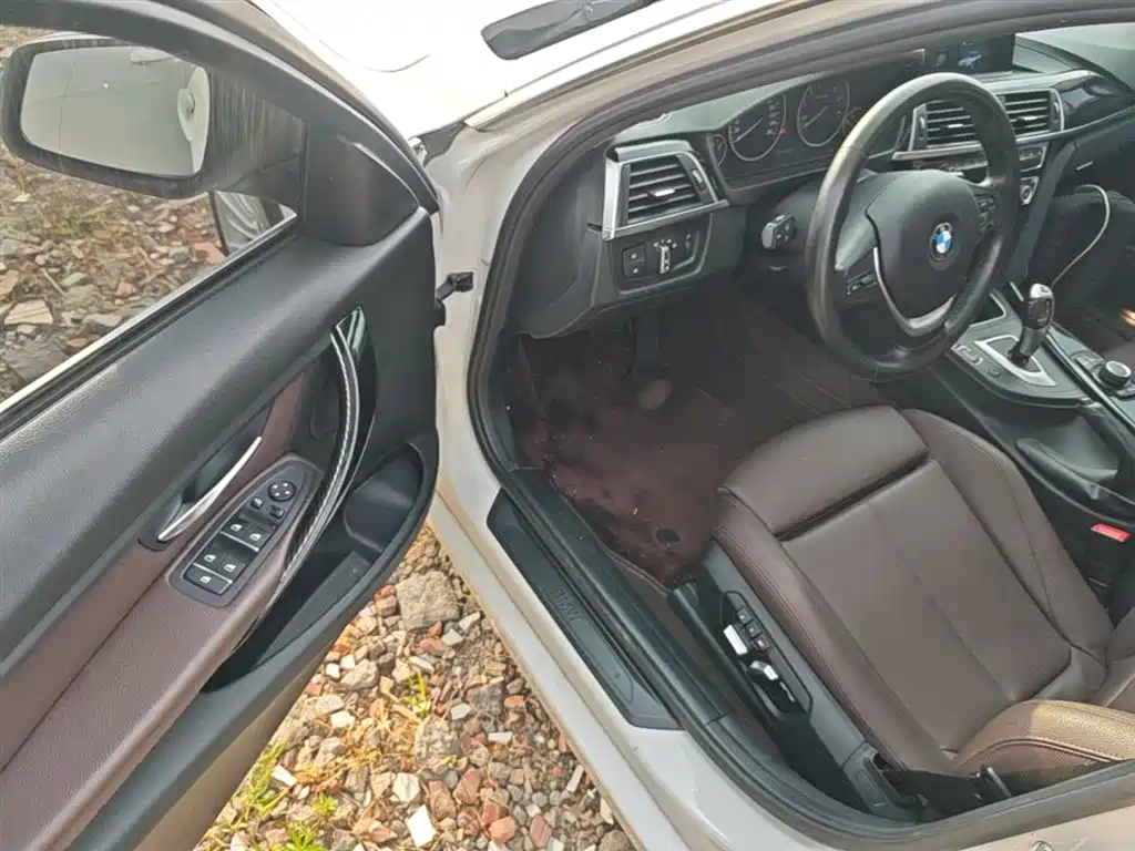 BMW 3 Series 2018 320Li Fashion Style фото 16