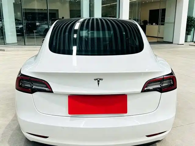 Tesla Model 3 (Import) 2019 2019 Long Range RWD Version