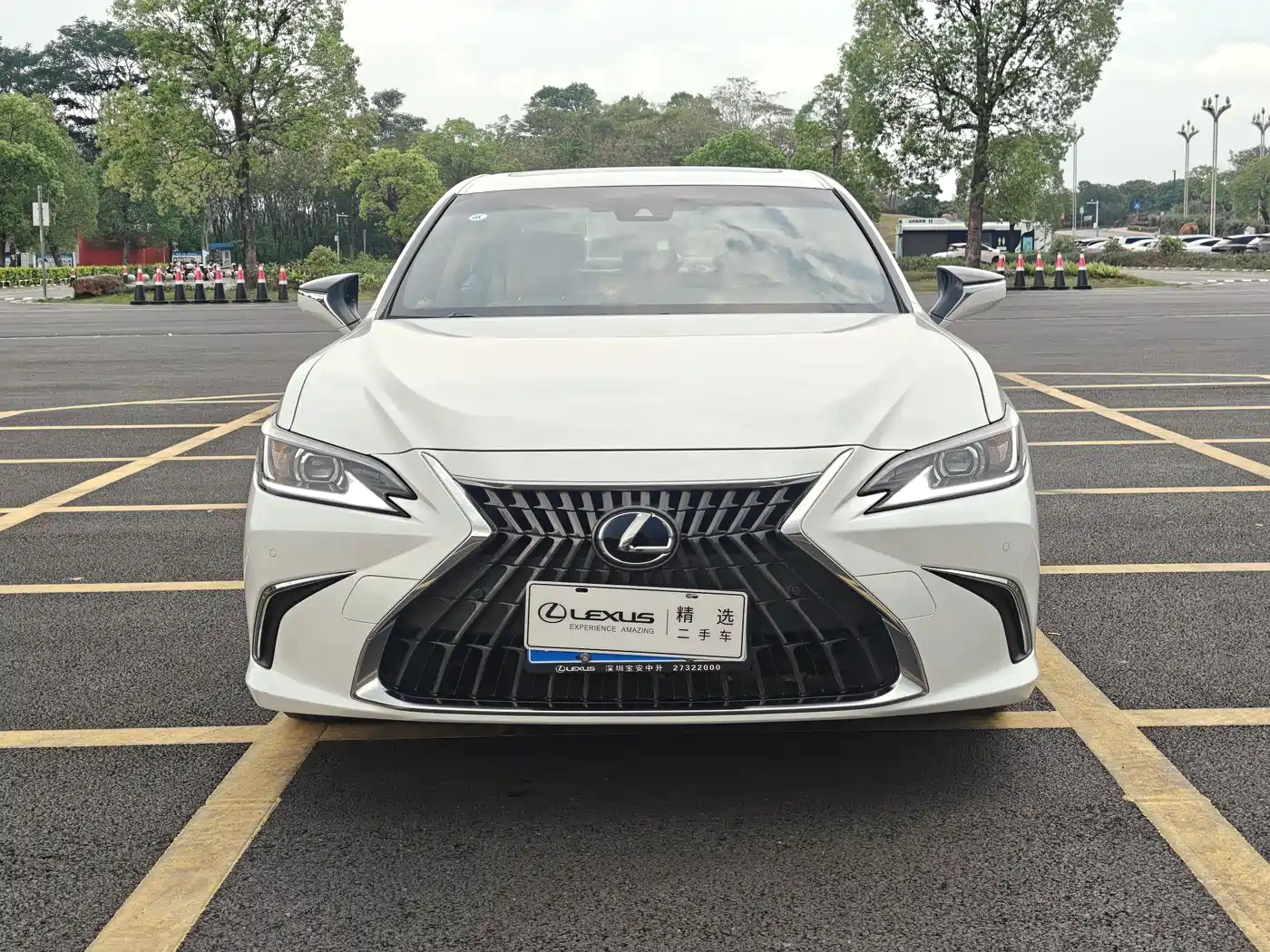 Lexus ES 2023 200 Excellence Edition фото 2