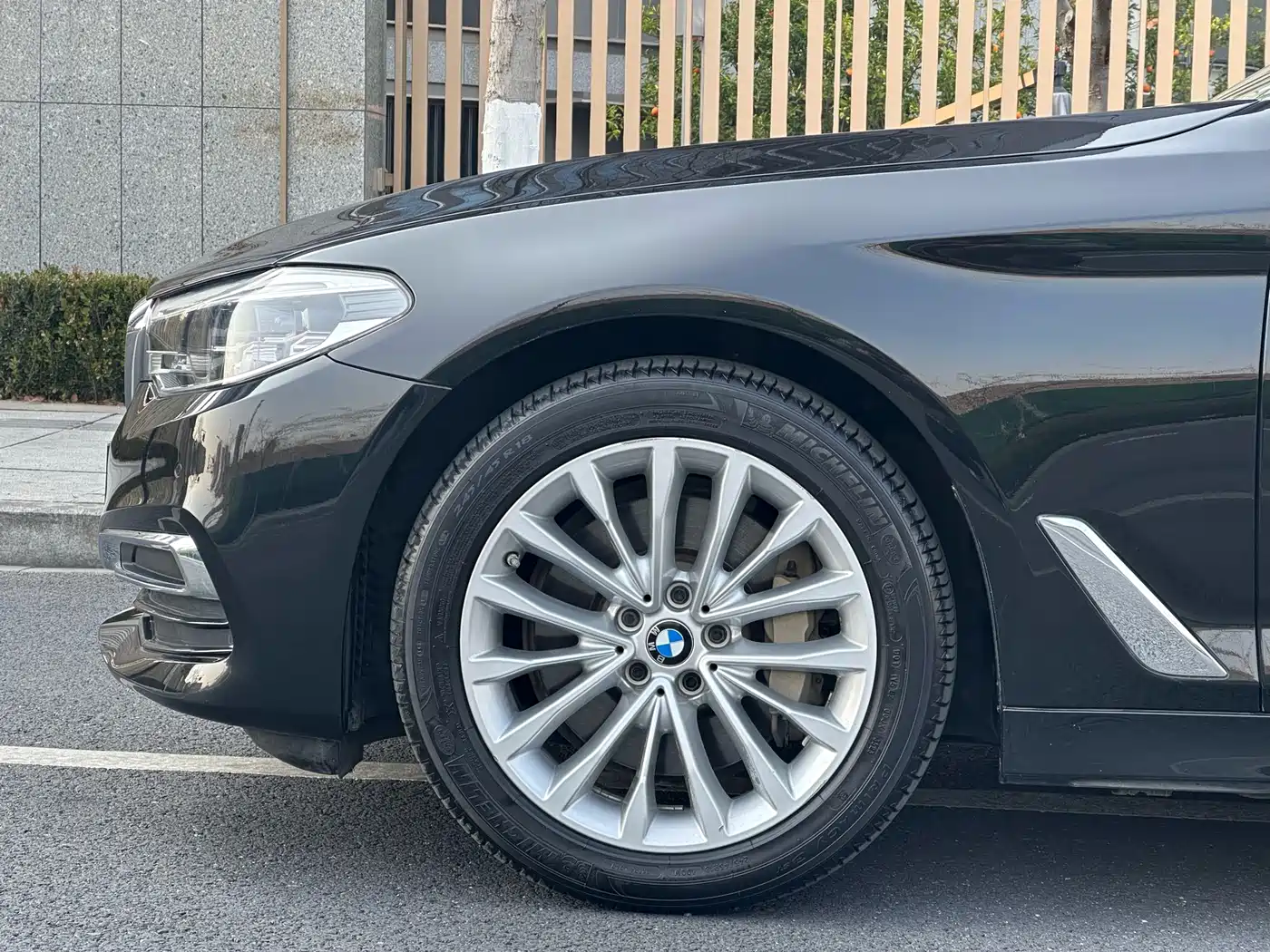 BMW 5 Series 2020 530Li Leading Luxury Package фото 9
