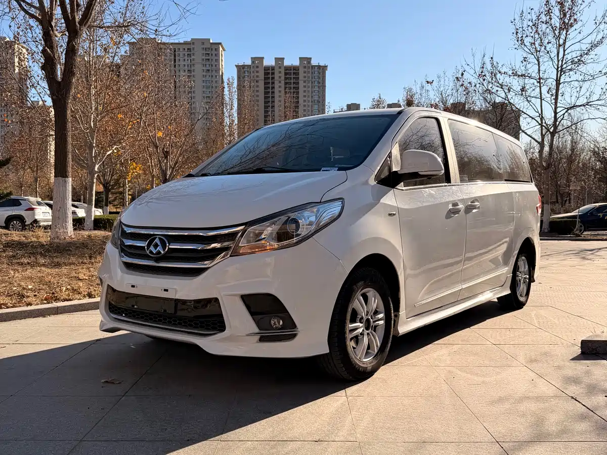 SAIC Maxus Maxus G10 2018 PLUS 2.0T Automatic Executive Edition фото 2