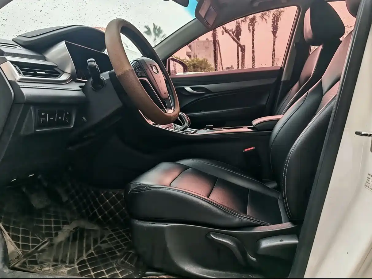 Geely Emgrand New Energy 2018 2018 EV450 Elite