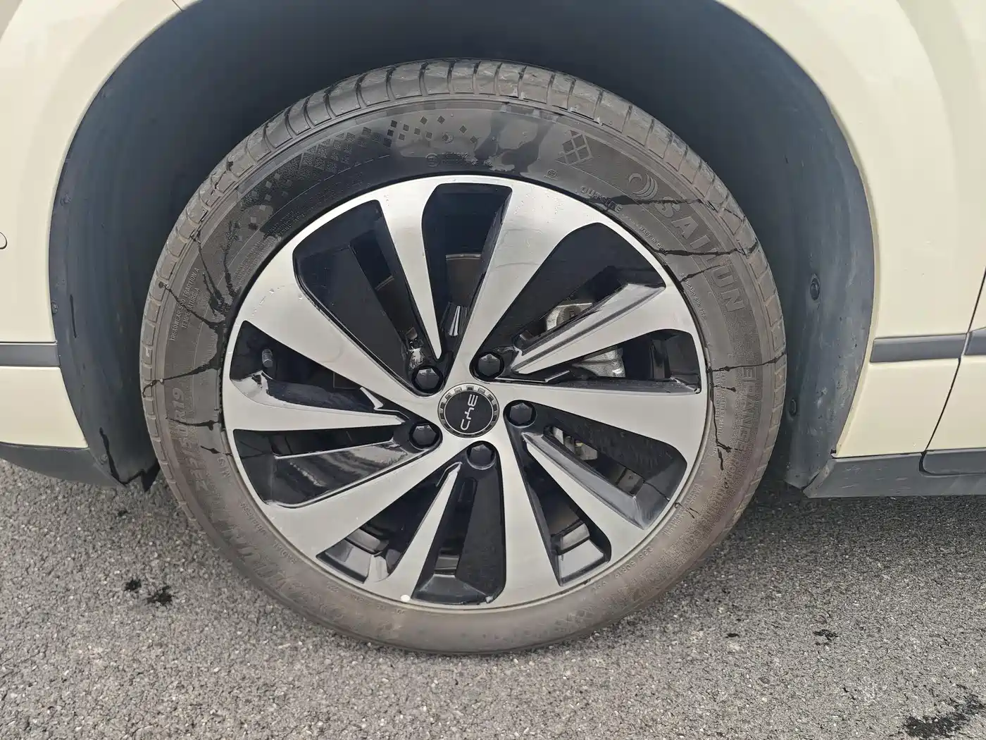 BYD SEA LION 06 NEW ENERGY