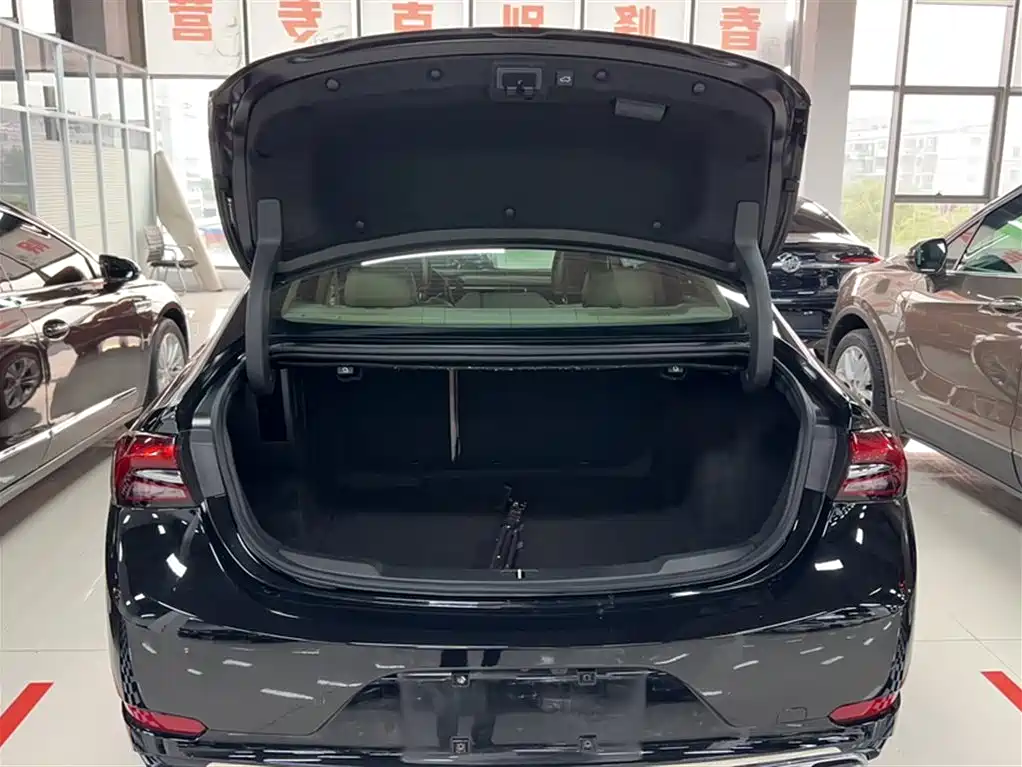 Buick LaCrosse 2021 Avenir Avia First Edition фото 17