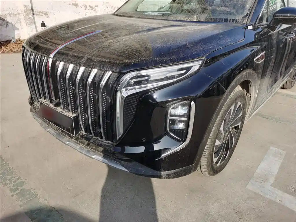 Hongqi HS7 PHEV 2024 2.0T PHEV 4WD Flagship Edition 6-seater фото 15