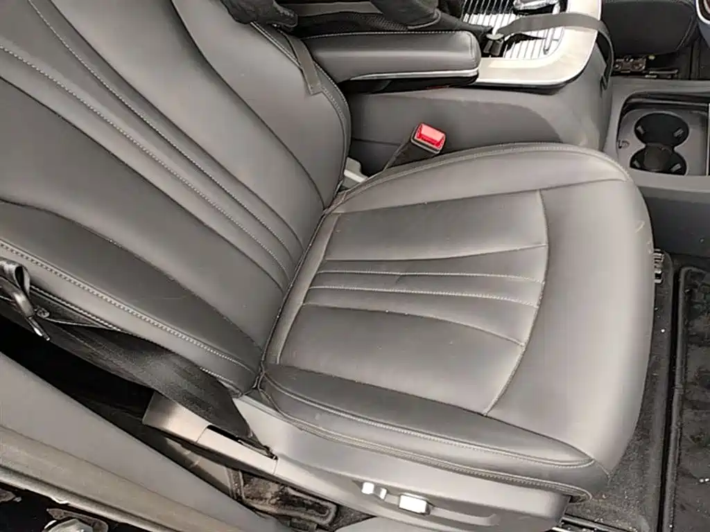 Hongqi HQ9 PHEV 2024 Model 2.0T AWD Business Edition фото 25