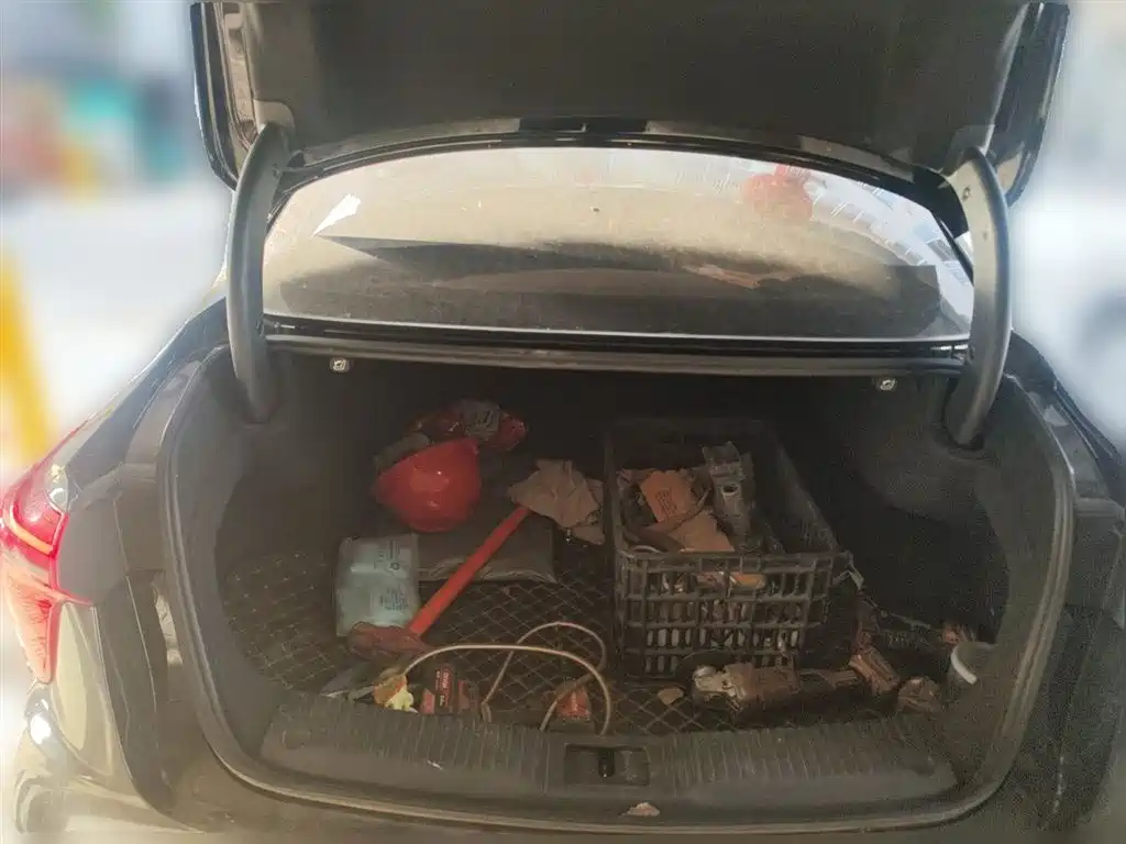 Hongqi H5 2023 1.5T DCT Smart Connect Flag Rhythm фото 10
