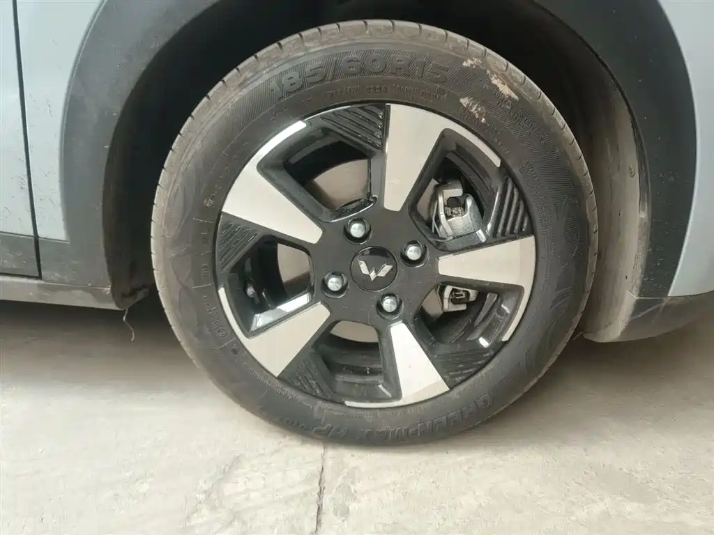 Фото 23 - Wuling Motors Wuling Binguo PLUS