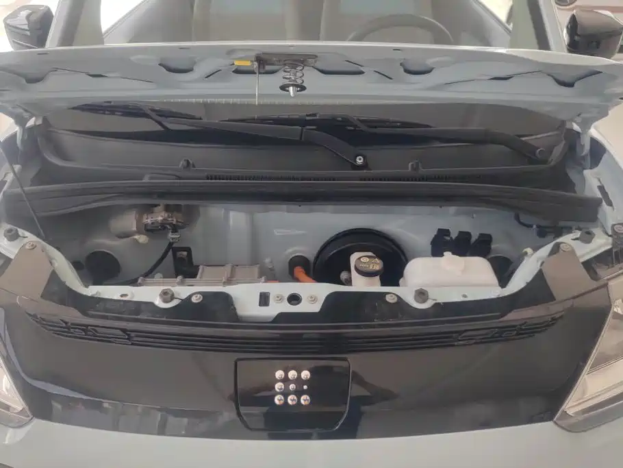 Dongfeng Fengguang Fengguang MINIEV 2022 2022 Practical Style Luxury Type