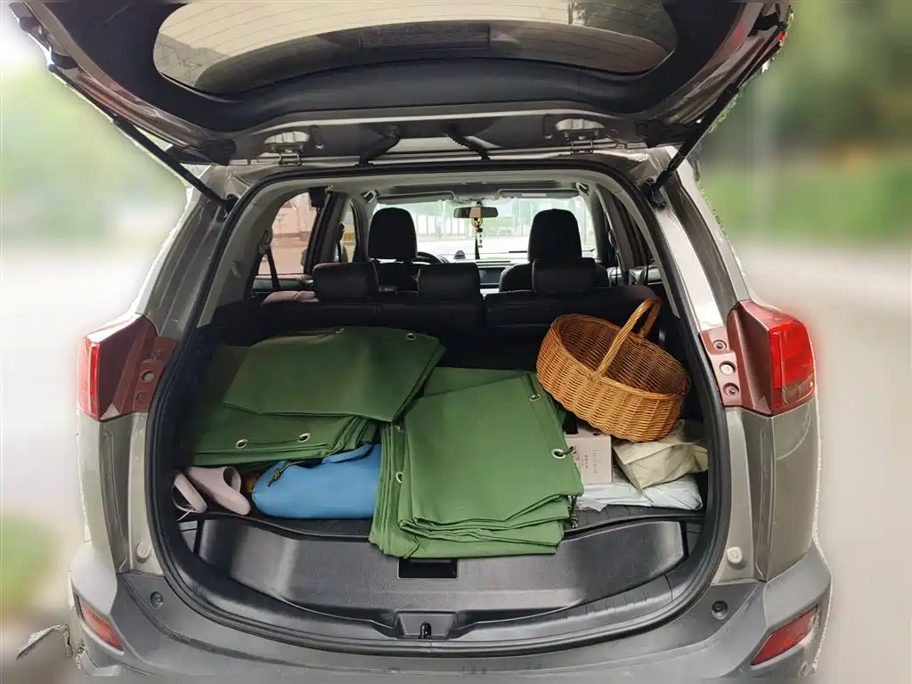 Toyota RAV4 Rongfang 2015 2.0L CVT 2WD Trend Edition фото 10